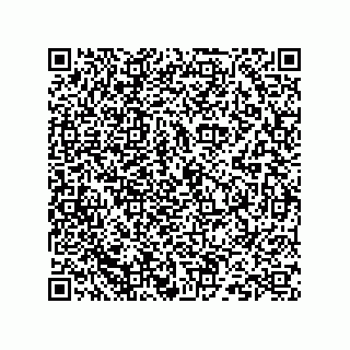 vCard 73824939502