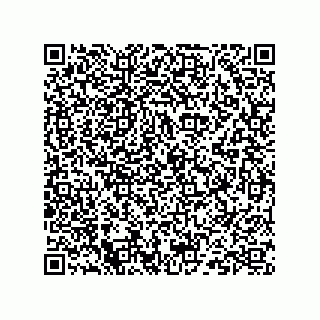 vCard 73824939519