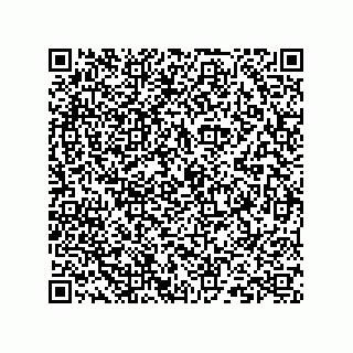 vCard 73824939521