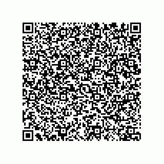 vCard 73824939529
