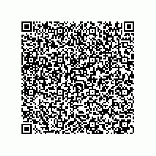 vCard 73825031729