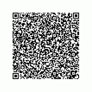 vCard 73825031911