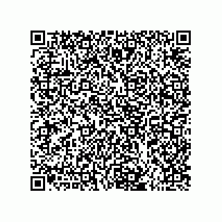 vCard 73825031913