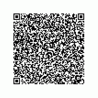 vCard 73825031919
