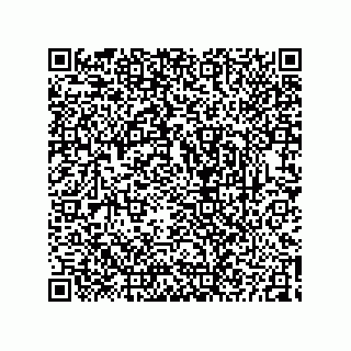 vCard 73825344133