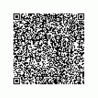 vCard 73825344137