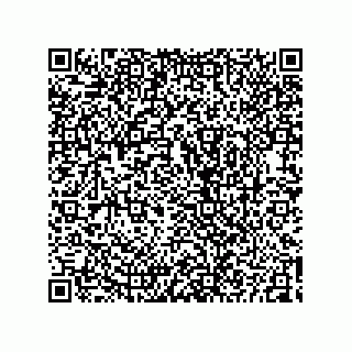 vCard 73825344187
