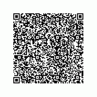 vCard 73825344300