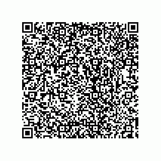 vCard 73825344313