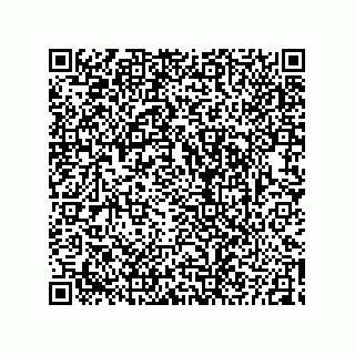 vCard 73825344319