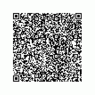 vCard 73825344329