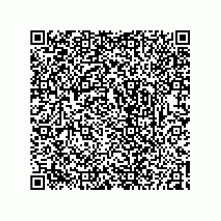vCard 73825344333