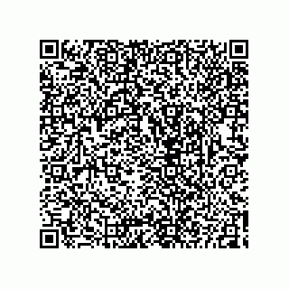 vCard 73825344339