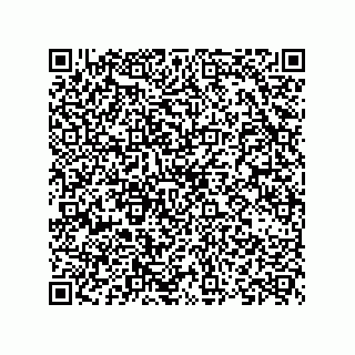 vCard 73825494113