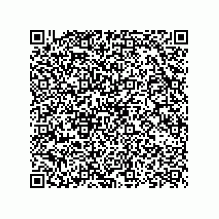 vCard 73825494119