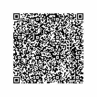 vCard 73825494177