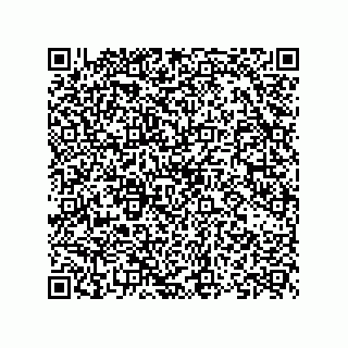 vCard 73825494284