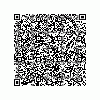 vCard 73825733091