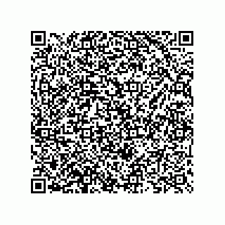 vCard 73825733096