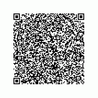 vCard 73825733097