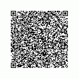 vCard 73825733100