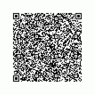 vCard 73825733103