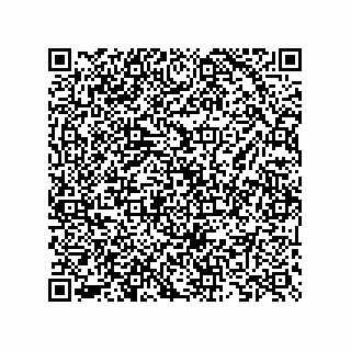 vCard 73825733107