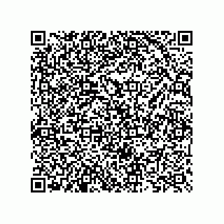 vCard 73825733113