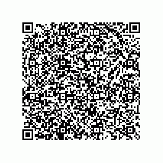 vCard 73825733119
