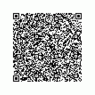 vCard 73825733120