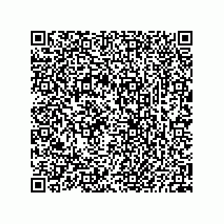 vCard 73825733125