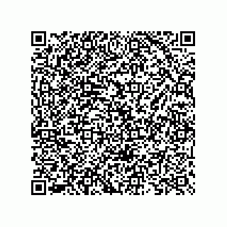 vCard 73825733127