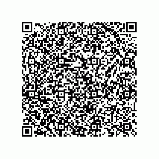 vCard 73825733128
