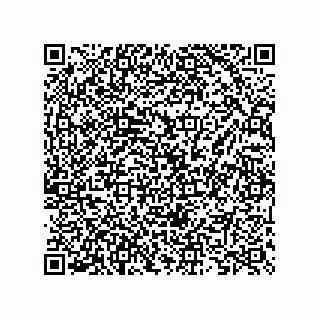 vCard 73825733129