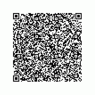vCard 73825733130