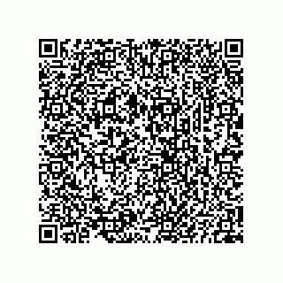 vCard 73825733131