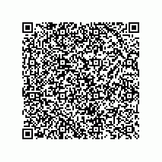 vCard 73825733133