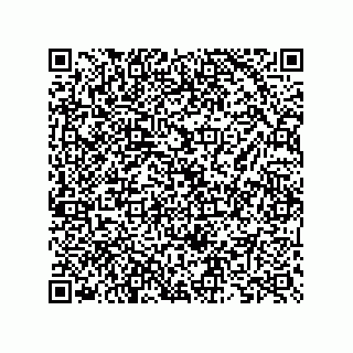 vCard 73825733137