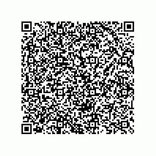 vCard 73825733138