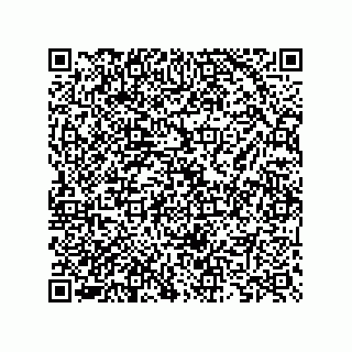 vCard 73825733139