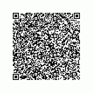vCard 73825733140