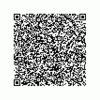 vCard 73825733145