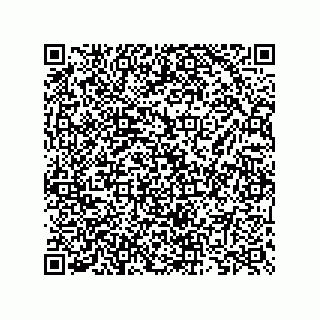 vCard 73825733152
