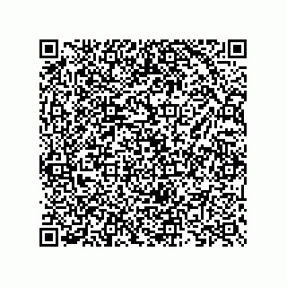vCard 73825733153
