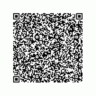 vCard 73825733155