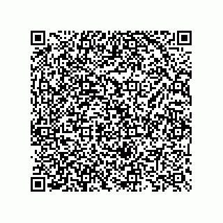 vCard 73825733159