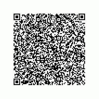 vCard 73825733160