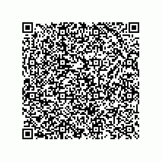 vCard 73825733165