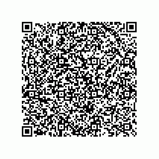 vCard 73825733171