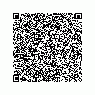 vCard 73825733172